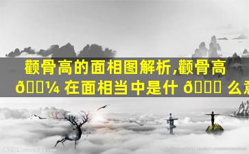 颧骨高的面相图解析,颧骨高 🌼 在面相当中是什 🐟 么意思